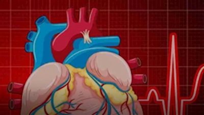 متى يكون تسارع دقات القلب طبيعيًا، ومتى يستدعي التدخل الطبي؟ تعرف على أبرز الأسباب والعلامات