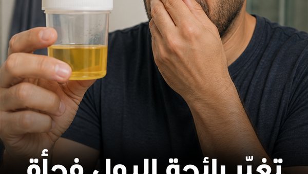 لمحة نيوز