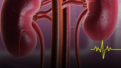 ضعف الكلى يظهر في رائحة الجسم.. 5 تغيرات غير معروفة انتبه إليها
