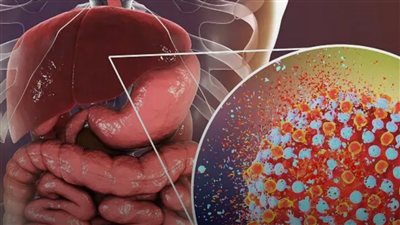 اختبار الكبد في المنزل.. 6 ملاحظات بسيطة تكشف حاجته للاهتمام