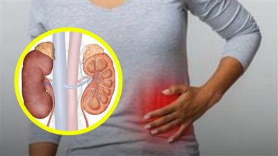 الكوليسترول يضيّق شرايين الكلى.. 4 تغيّرات تظهر في الضغط والتبول