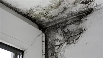 السبب الحقيقي لتعطّل الرزق والزواج شيء صغير داخل منزلك يدمّر كل شيء جميل بصمت !!
